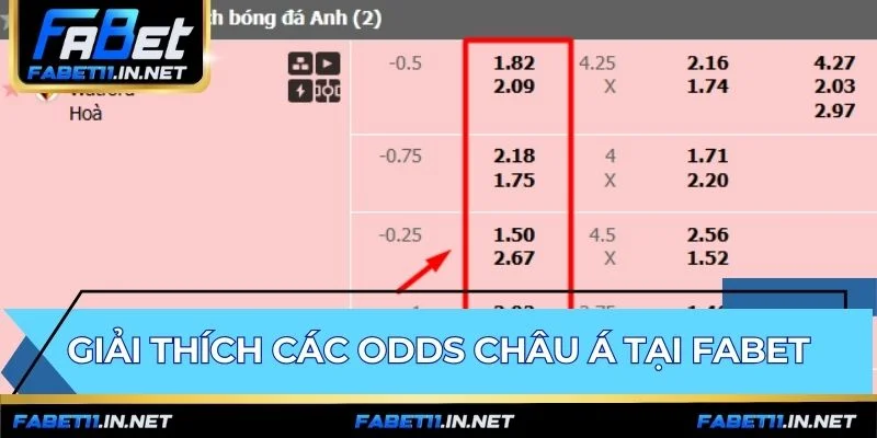 Các loại odds Châu Á ẩn chứa cách tính thu nhập riêng