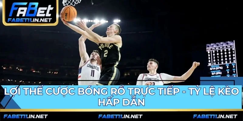 Hướng dẫn đặt cược đơn giản qua 5 bước cơ bản và minh bạch