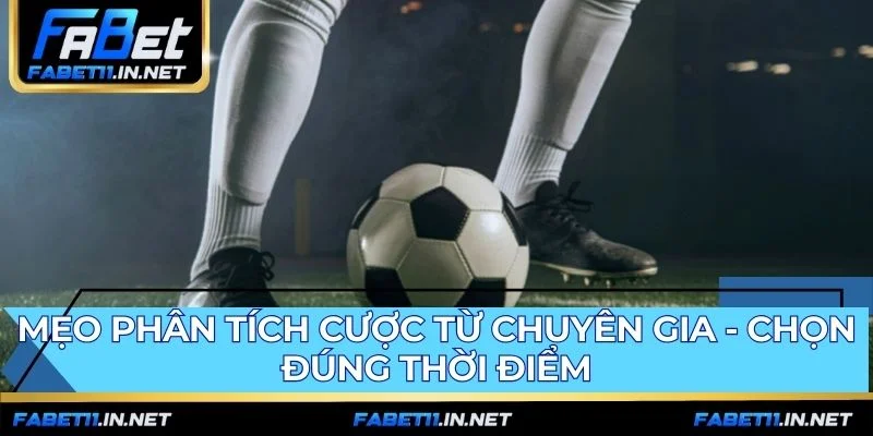 Kinh nghiệm bắt kèo đòi hỏi chọn đúng thời điểm và kỷ luật