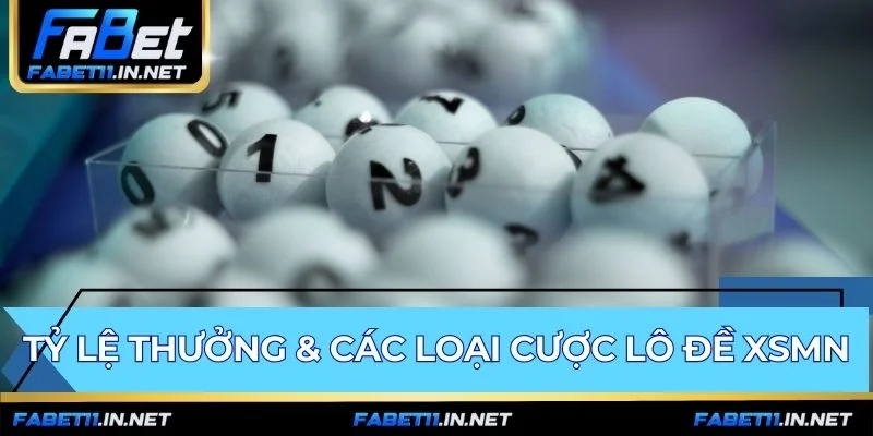 Các loại cược XSMN đa dạng cùng tỷ lệ thưởng cạnh tranh